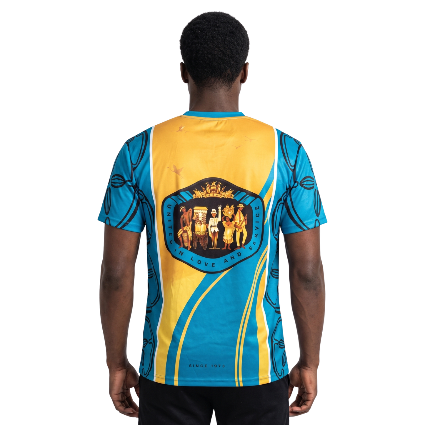 The Legacy Harvora V-Neck Tee - Aqua